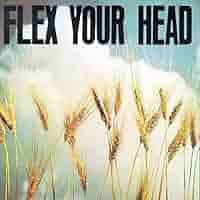 Various Artists - Flex Your Head - Amazon.com Music