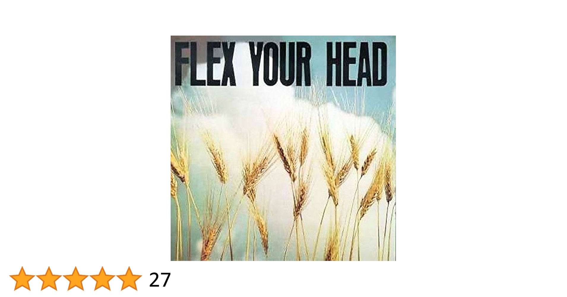 DC名盤 VA 「Bouncing Babies」裏FLEX YOUR HEAD DC名盤 VA 「Bouncing Babies」裏FLEX YOUR HEAD