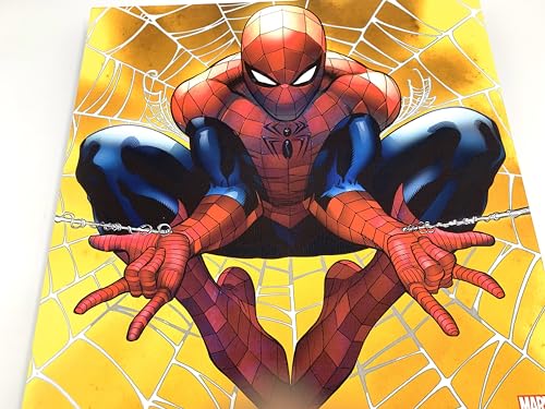 Décoration murale Spider-Man Silver Buffalo idée cadeau geek - 7