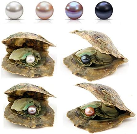 50PC Akoya Oysters With Pearls Inside Wholesale Round Pearl Oysters