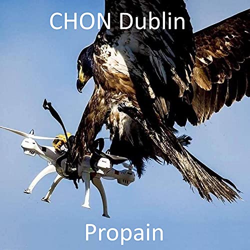  Propain