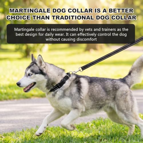 Collar Martingale para perros tamaño M color negro miniatura 5