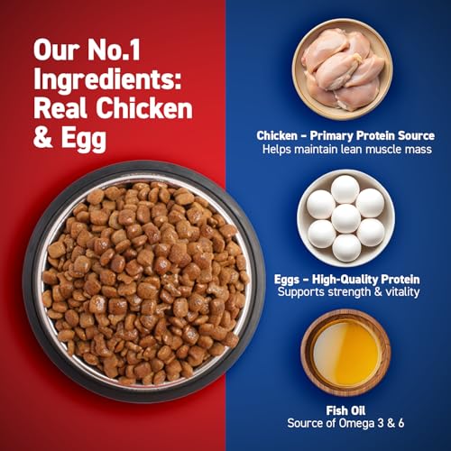 Image of Drools Adult Dry Dog Food, 20kg | Chicken and Egg Flavour | Brain Development | Easily digestible | Growth and Development