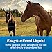 PetAg Dyne High Calorie Liquid Nutritional Supplement for Livestock - 1 Gallon - Includes Added Vitamins - Excellent for Underweight, Stressed, or Recovering Animals