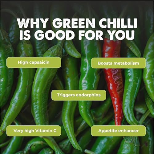 Image of Hot Pepper 100+ Vegetable Seeds for Home Garden