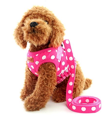 selmai Puppy klein Katze Mädchen Hund Vest Dots Harness Leine-Set Mesh Gepolsterte kein Ziehen Blei