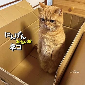 Tankobon Softcover ?????????? (???) Book