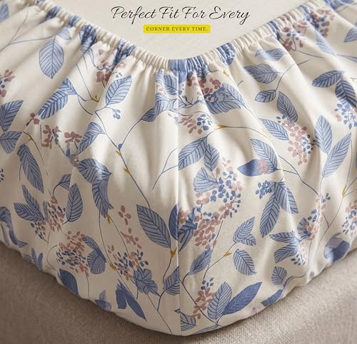 Image of BSB HOME 210 TC Cotton Double Bedsheet with 2 Pillow Covers, Soft Breathable Fabric, Elastic Fitted Sheet, Wrinkle Resistant, Deep Pocket Fit - 78 x 72 + 10 Inches (Mascarpone)
