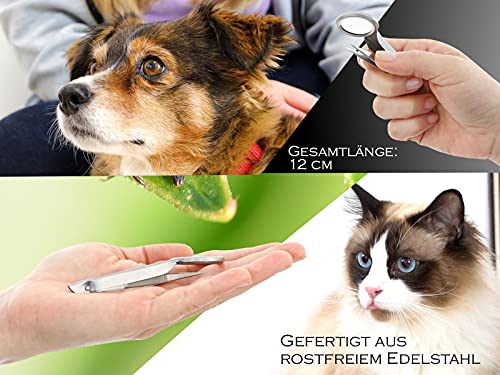 Pinzette mit Lupe Spitz aus Edelstahl - Image 4