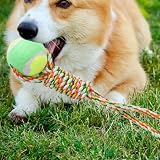 Generico Interaktives Quittio-Spielzeug – Springseil für Hunde, Muskelaufbau | Ziehseil für kleine Hunde im Innen- und Außenbereich