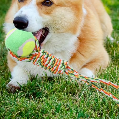 Generico Interaktives Quittio-Spielzeug – Springseil für Hunde, Muskelaufbau | Ziehseil für kleine Hunde im Innen- und Außenbereich