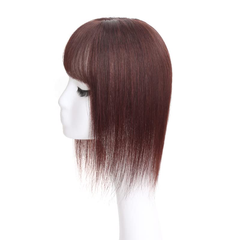 ARNIHOLLClip in Human Hair Toppers with Free Hair Straightener Seamless Hairpiece Toupee for Women Thick Silk Base Topper for Thicking Hair (3"*4.7" 8inch, Dark Brown)