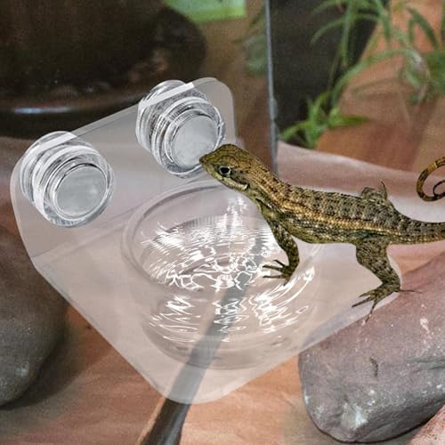 Reptilien- Futternapf- Abnehmbarer magnetischer Gecko- Futternapf, einfache Installation, Reptilien- Futterstation für Eidechsen, Chamäleons, Laubfrösche-3