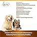 Turmeric Hip and Joint Chews for Dogs, Dog Chews for Mobility Support, Cartilage Health & Dog Joint Pain Relief, Anti-Inflammatory MSM, Glucosamine and Chondroitin for Dogs, 90 Chews, 8 Oz