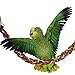 Super Bird Creations SB1156 Rainbow Rope Bridge Bird Toy, Medium/Large Bird Size, 35 x 2