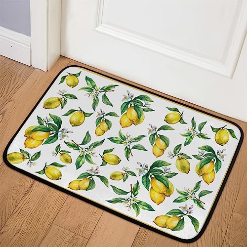 Fruits Lemon Paint Fußmatte Indoor Eingang Willkommen Matte Rutschfest Low Profile Front Doormat Langlebig Absorbent Resist Schmutzmatten für Zuhause Küche Wohnzimmer 79,9 x 50,8 cm