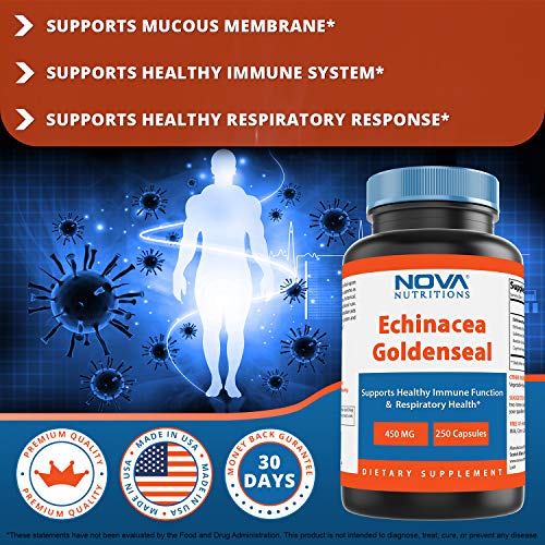 Nova Nutritions Echinacea Goldenseal Complex 450 Mg (Non-Gmo) - Supports Immune And Respiratory Response* Supports Mucous Membranes, 250 Capsules #TOP2