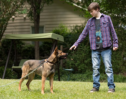 Max – Bester Freund. Held. Retter.