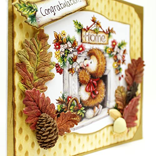 Katy Sue 'Hedgehog Friends Collection' Paper Craft Pad For Card Making & Crafts. Makes 80 Card Toppers. Not Die-Cut. #TOP7