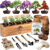 DIY Bonsai Tree Kit for Beginners &ndash; 5X Unique Japanese Bonzai Trees, Complete Indoor Bonsai...