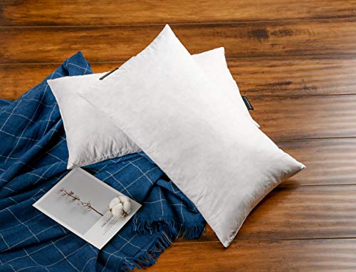 JA-COMFORTS-1220-Premium-Goose-Down-Feather-Throw-Pillow-InsertsSet-of-2-5-Down-FillingHigh-Filling-Weight250-TC-Cotton-Cover-Square-White JA COMFORTS 1220 Premium Goose Down Feather Throw Pillow InsertsSet of 2 5 Down FillingHigh Filling Weight250 TC Cotton Cover Square White