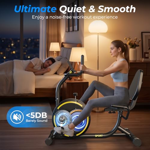 Image of Recumbent Exercise Bike for Home Heavy-Duty Stationary Bike For Seniors Bicycle Exercise Machine Bicycle LCD Monitor,265LBS,8 Level Resistance Black