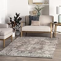 Algopix Similar Product 4 - nuLOOM Vintage Corene Flora Area Rug