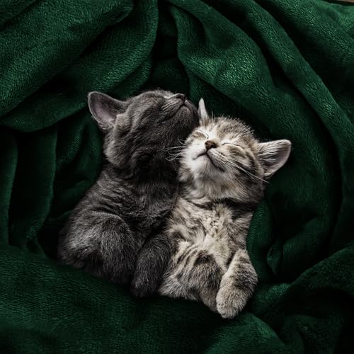 Image of Utopia Bedding Fleece Blanket Twin Size Forest Green 300GSM Luxury Anti-Static Fuzzy Soft Microfiber Bed Blanket (60x80 Inch)
