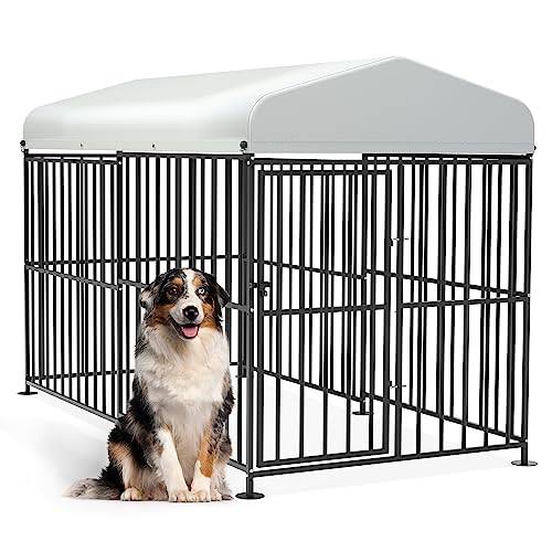 Top 10 Indoor Outdoor Kennels for Your Furry Friend The Ultimate