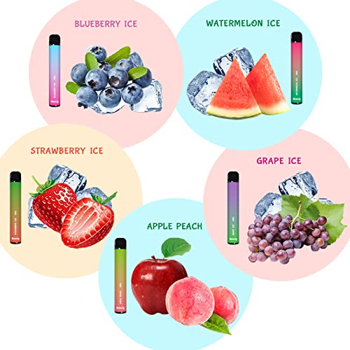 Bescig Einweg Vape 5Pcs E Shisha Einweg 800 Züge Einweg E zigarette Ohne Nikotin, Strawberry Ice/Watermelon Ice… – Bild 3