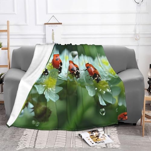 Couverture polaire flanelle douce 203x152 cm pour protéger canapé et rester au chaud - 3