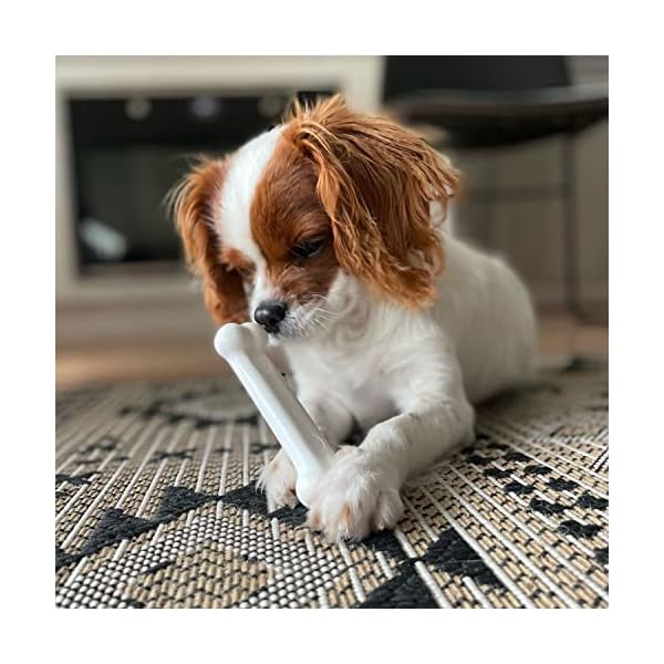 Puppy Chew Toy and Treat Starter Pack