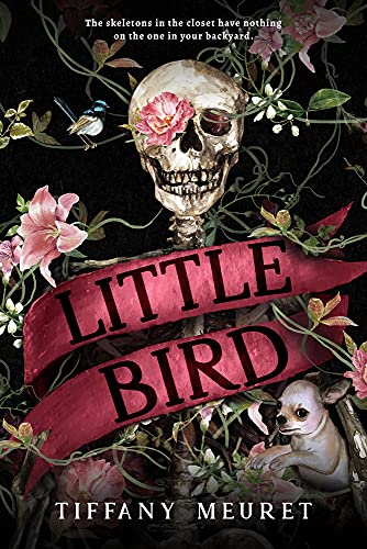 Little Bird view 2