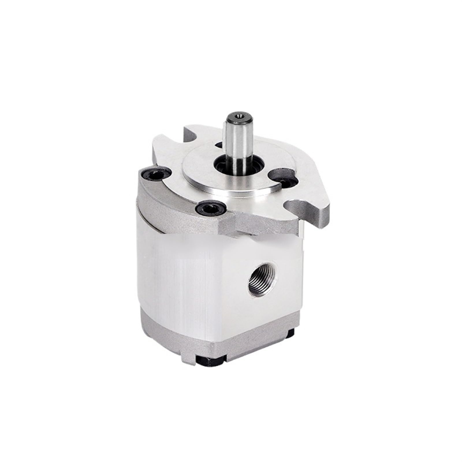 Bhuionwtr One Color Hydraulic Gear Pump Hgp-1A-F0.5lhgp-1A-F8l Reverse Left Turn Booster High Pressure Oil(Hgp-1A-F8l)