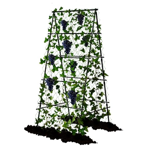 AlisisFores Garden Trellis for Climbing Plants, A-Shape Garden Plant Support Frame for Raised Bed...
