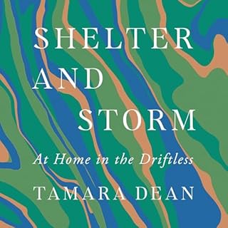 Shelter and Storm cover art
