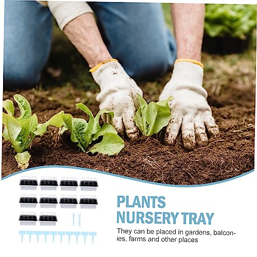 YARNOW 1 Conjunto De Bandejas De Caixa De Mudas Suculentas Vasos De Plantas De Plástico Bandeja De C