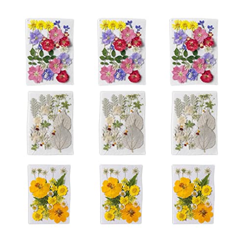 CUDDIKAJI 9 X (Multi) Pingente de Flores Secas Naturais Decoração Flores Em Relevo Colorido