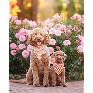 RemyRoo-Large-Spring-Dog-Bandanas-4-Pack-Daisy-Set-Premium-Durable-Adjustable-Polyester-Fabric-Patented-Shape-Girl-Dog-Bandana-Floral-Dog-Bandana - Cucciolini Doodles RemyRoo-Large-Spring-Dog-Bandanas-4-Pack-Daisy-Set-Premium-Durable-Adjustable-Polyester-Fabric-Patented-Shape-Girl-Dog-Bandana-Floral-Dog-Bandana