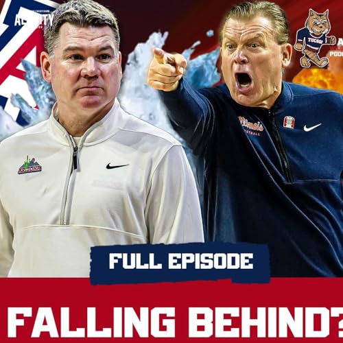 Should Arizona Get MORE AGGRESSIVE In Transfer Portal?