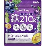 【高吸収×持続型のW 鉄分 】 1日分の鉄分210% サプリメント 葉酸 亜鉛 マルチビタミン 葉酸サプリ 亜鉛サプリ ビタミンサプリ 鉄 てつ 妊活 Wellio ウェリオ (1袋)