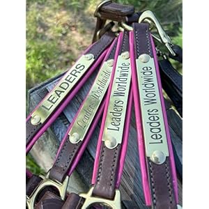 Leaders Leather Horse Halters Brown Leather with Pink Leather Piping Trim and Customized Engraved Name Plate