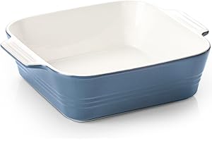 Airy Blue Baking Dish: The Perfect Companion for Your Culinary Adventures