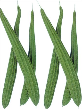 Raunak Seeds Omaxe Ridge Gourd Hybrid Variety, Avg 30-50 Seeds X 2 Packs (B01IZRSQKU) Amazon Price History, Amazon Price Tracker