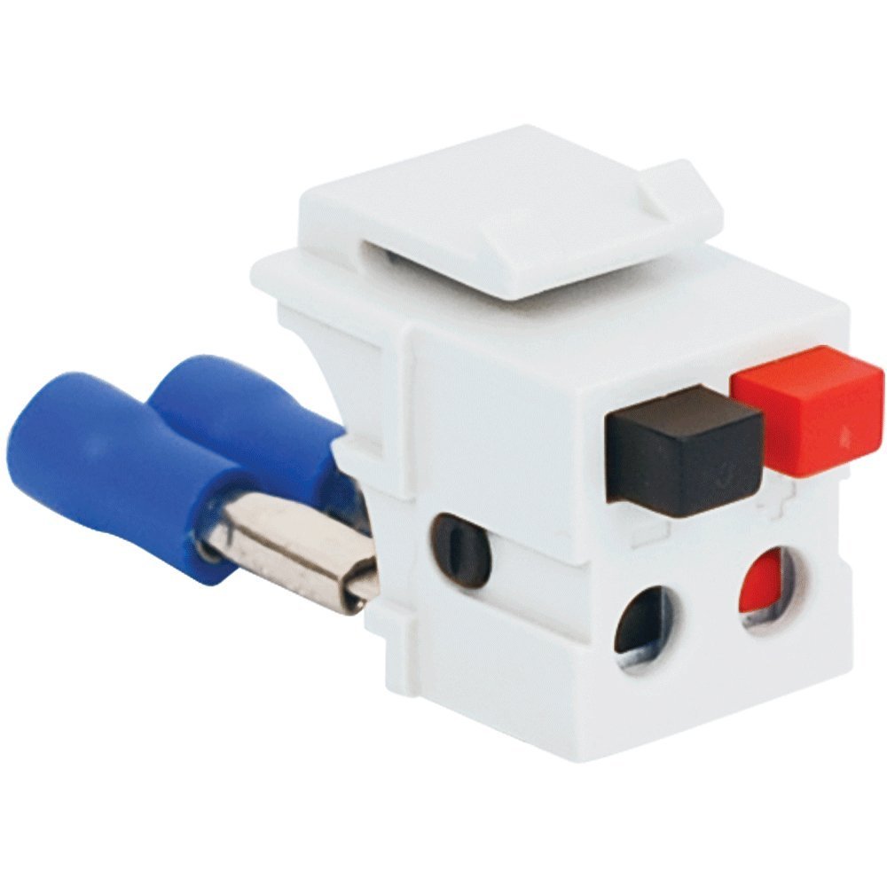 Icc Ic107dscwh Dual Speaker Module White (10)