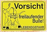  Schild- Vorsicht freilaufender Bulle - Gr. 30x20cm - Tiere Landwirtschaft - 308546