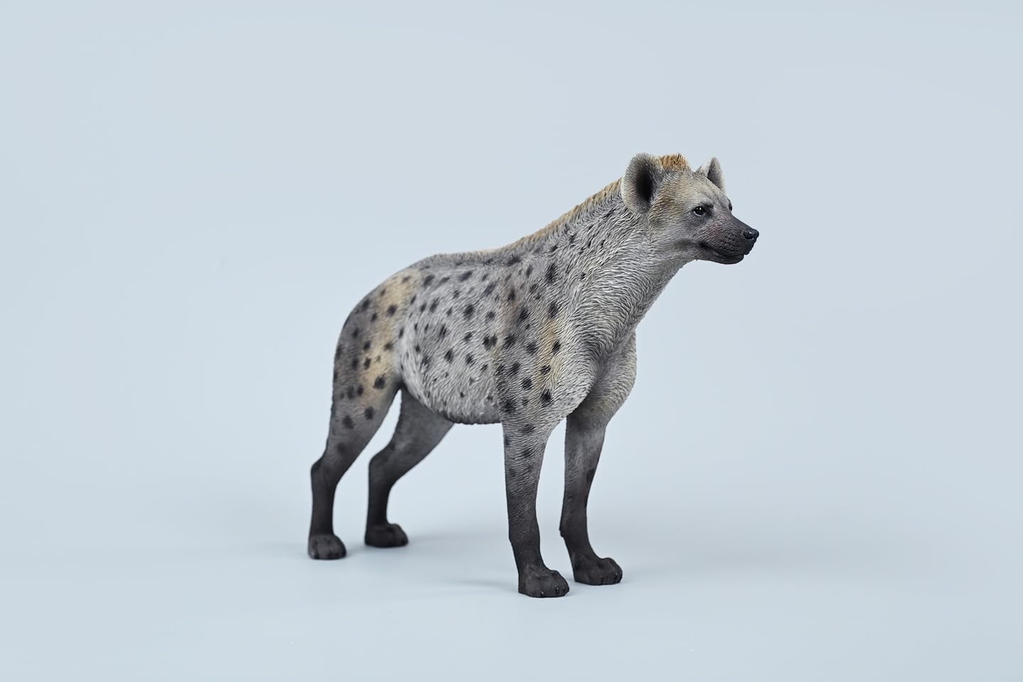 HYENA STATION  Amazon.com: WLNTDOLA 1:6 Scale African Hyena Model Hyaenidae