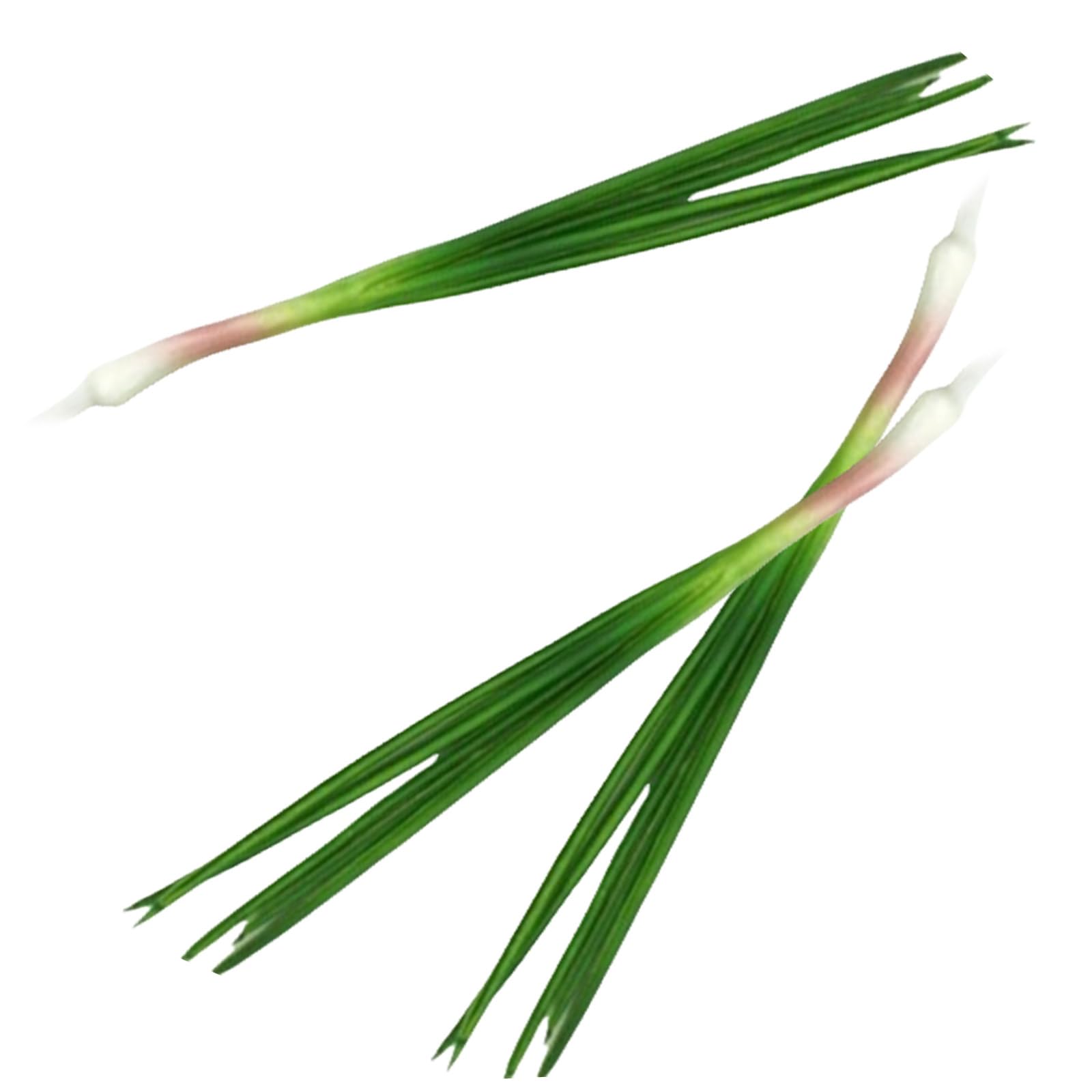 CRFFZ 3Pcs Realistic Green Onions Simulation Scallions Artificial Simulation Vegetables for Kitchen Decoration and Photography Artificial Green Onions