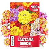 EquSym 900+ Lantana Flower Seeds – Mix...