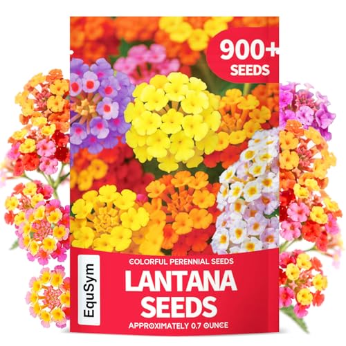 900+ Lantana Flower Seeds – Mixed Colors | Heat & Drought-Tolerant, Easy to Grow | Attracts Butterflies & Hummingbirds | Great for Gardens, Balconies, Planters